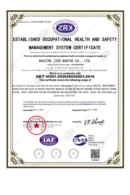 ISO 45001 Itinatag ang Occupational Health and Safety Management System Certificate_01-800x1200